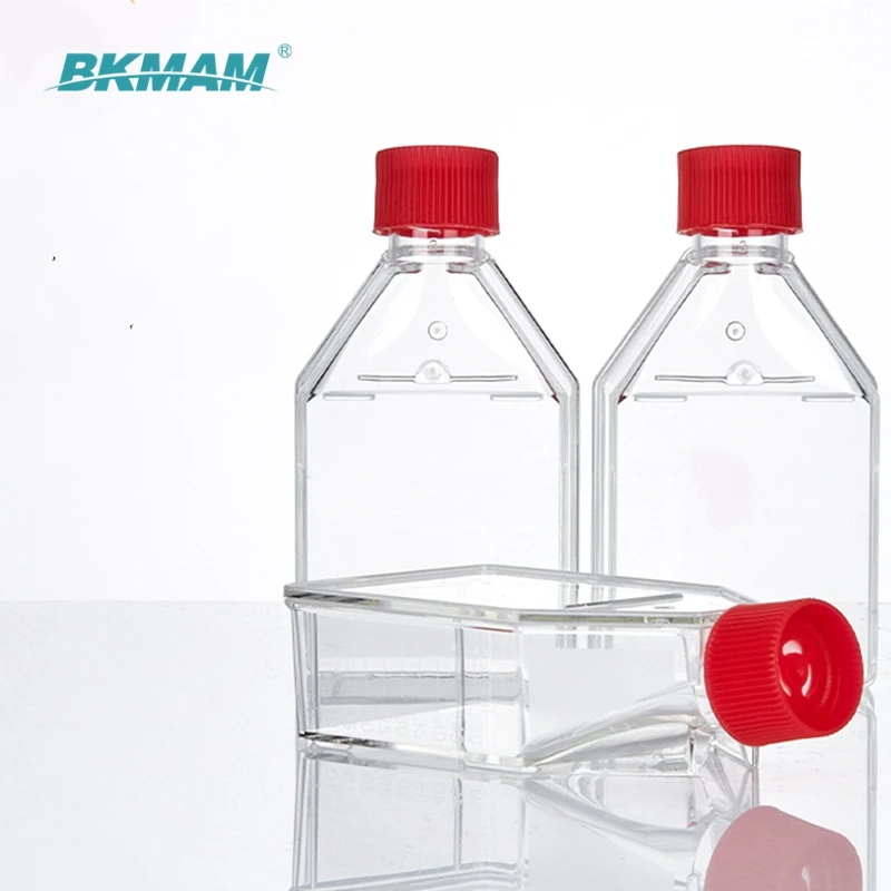 cell culture flask 