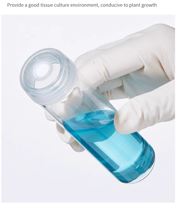 Lab Use 30mm Heat Resistant Clear Glass Tube With Tissue Culture Caps For Plant Packaging